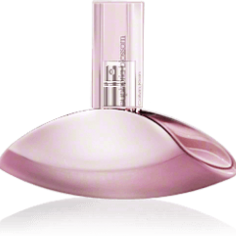 Buy Euphoria Blossom Calvin Klein For women Perfume in Egypt