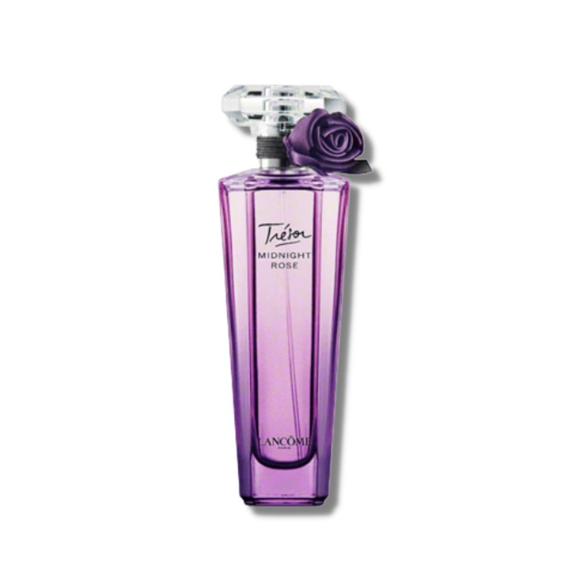 Tresor Midnight Rose perfume For women Catwa Deals - كاتوا ديلز | Perfume online shop In Egypt