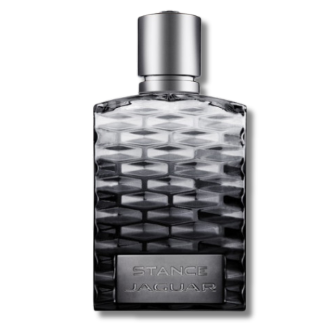 Stance Jaguar for men Catwa Deals - كاتوا ديلز | Perfume online shop In Egypt
