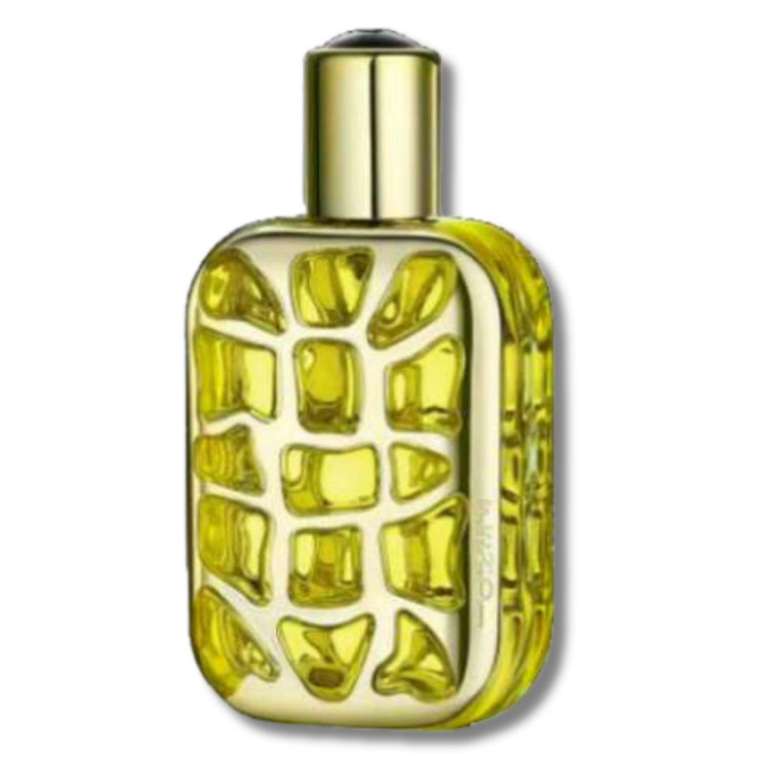 Furiosa Fendi For women Catwa Deals - كاتوا ديلز | Perfume online shop In Egypt