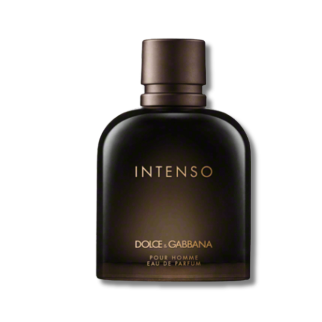 Dolce&Gabbana Pour Homme Intenso For Men | Catwa Deals