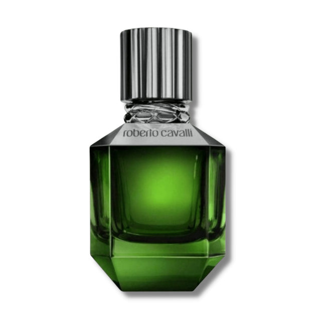 Paradise Found For Men Roberto Cavalli | Catwa Deals