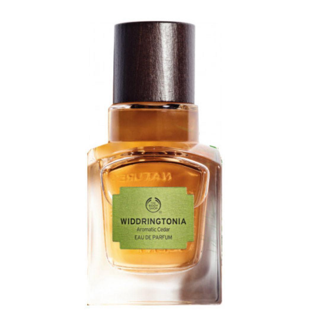 Widdringtonia The Body Shop-UNISEX Catwa Deals - كاتوا ديلز | Perfume online shop In Egypt