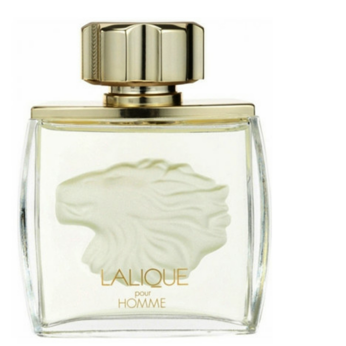 Lalique Pour Homme  Catwa Deals - كاتوا ديلز | Perfume online shop In Egypt