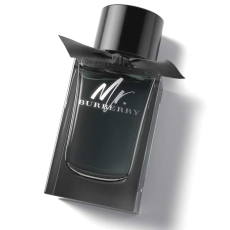 Mr. بربري Eau de Parfum For Men - Catwa Deals - كاتوا ديلز | Perfume online shop In Egypt