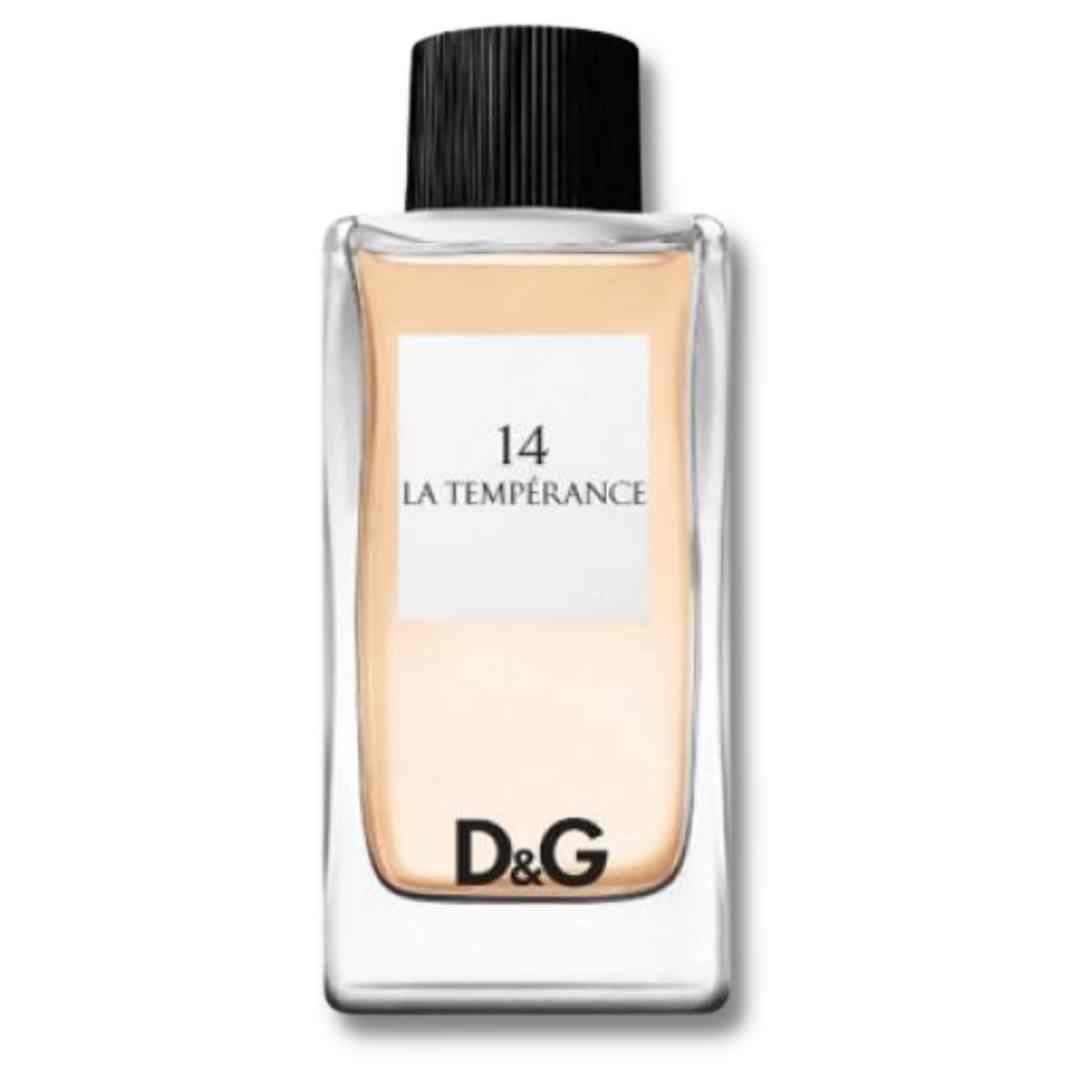 D&G Anthology La Temperance 14  for women Catwa Deals - كاتوا ديلز | Perfume online shop In Egypt