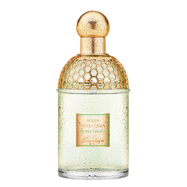 Aqua Allegoria Herba Fresca Guerlain for women and men Catwa Deals - كاتوا ديلز | Perfume online shop In Egypt